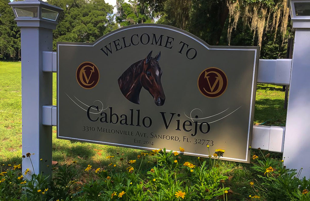 caballo viejo