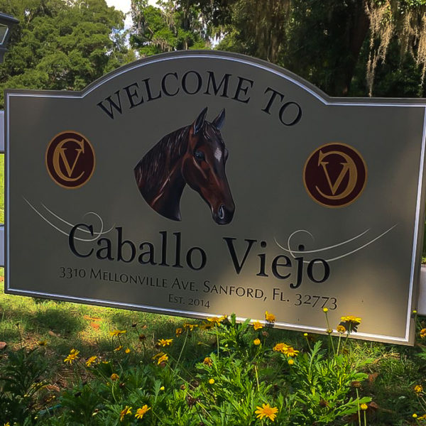 caballo viejo