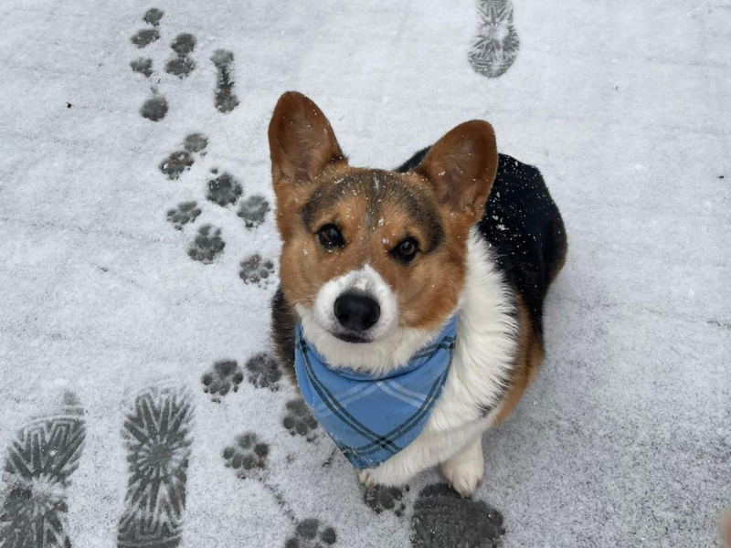Winnie