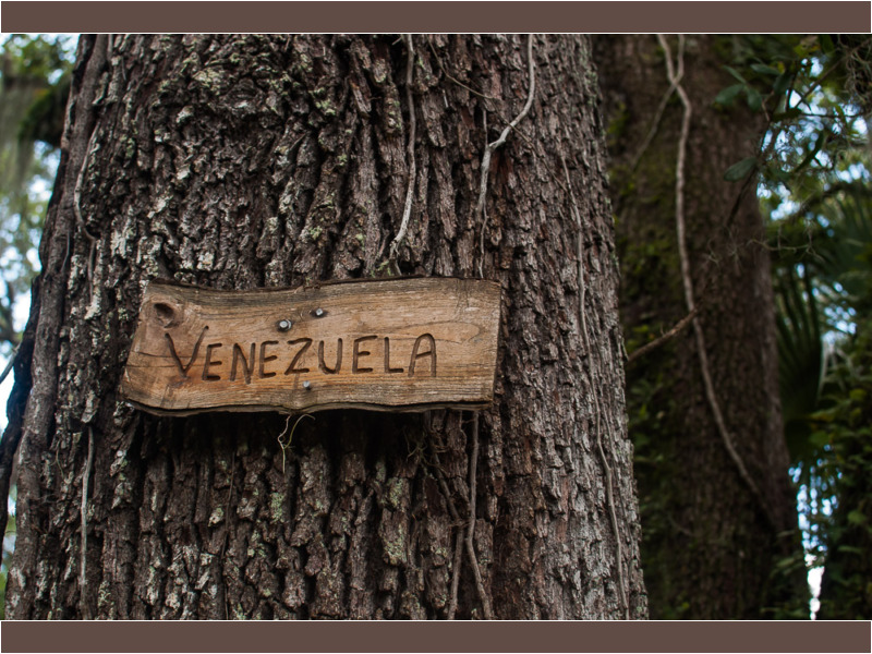 una casa en un arbol